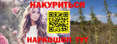дмт Новокубанск