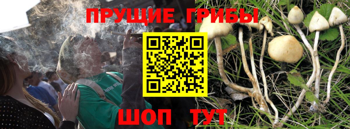 Озёрск  Галлюциногенные грибы MAGIC MUSHROOMS  Вход с VPN 