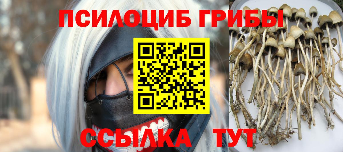 Псилоцибиновые грибы Magic Shrooms Озёрск